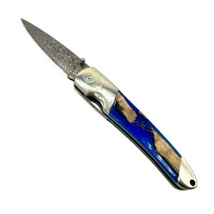 Natural Stabilized Cholla Cactus Damascus Blade Liner Lock Folding Pocket Knife