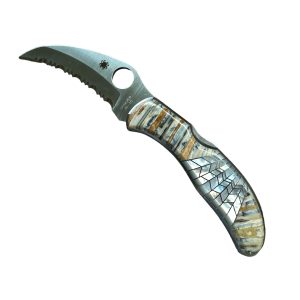 SPYDERCO Folding Locking Pocket Knife w MOP & Agate Handle