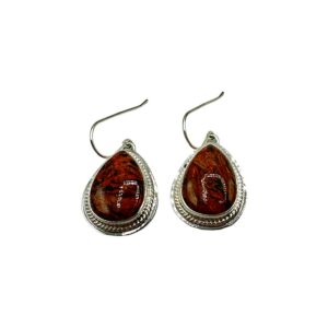 Sterling Silver & Pietersite Dangle Earrings